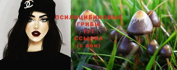 хмурый Осташков