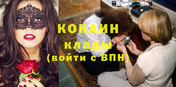 бошки Белокуриха