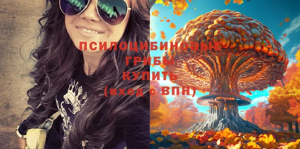мдпв Белоозёрский