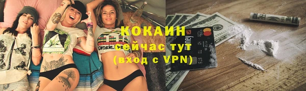 бошки Белокуриха