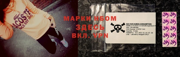 крисы Баксан