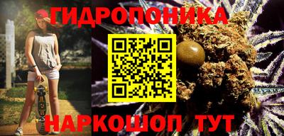 кокс Донской