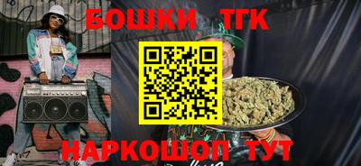 гидра Новодвинск