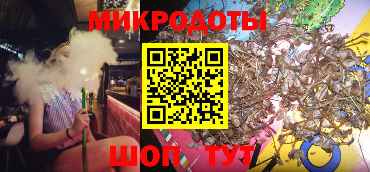 Новый Уренгой  где купить наркоту  Вход с VPN  Псилоцибиновые грибы Psilocybe 