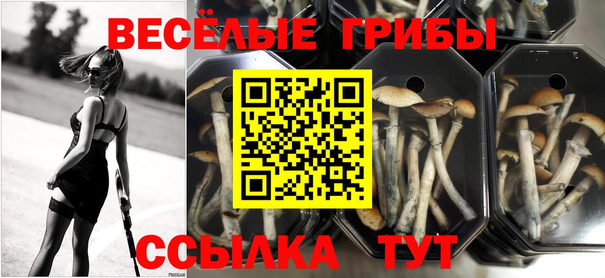 Галлюциногенные грибы ЛСД Новый Уренгой