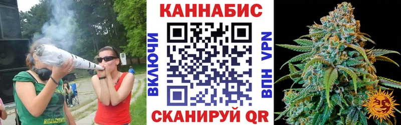 Шишки марихуана White Widow  дарк нет наркотические препараты  Новый Уренгой  хочу  
